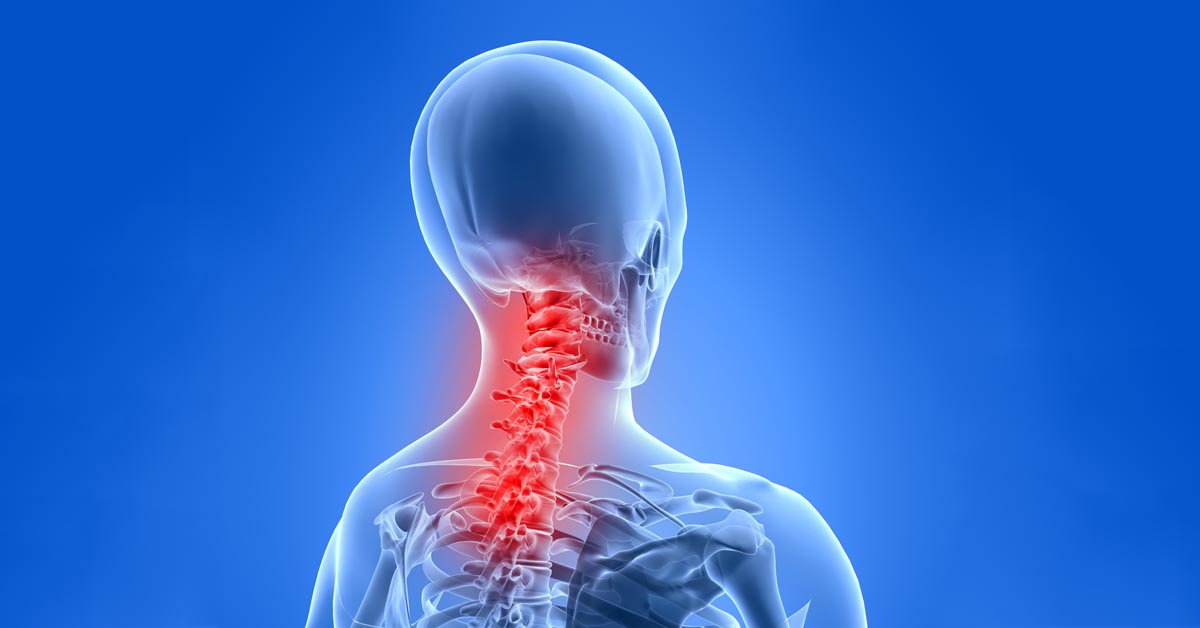 Chiropractic OIympia, WA
